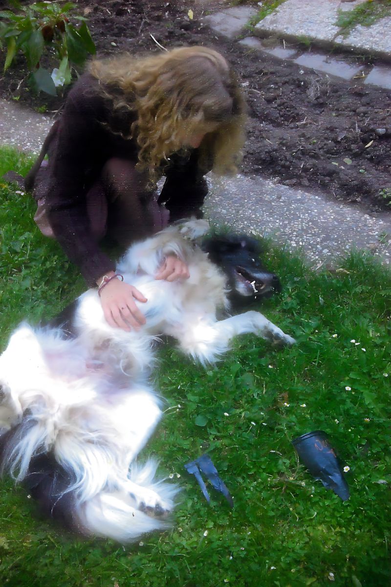 Vera met
      Whisper